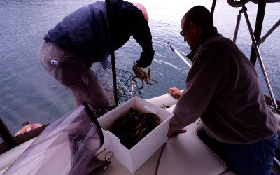 Brent and Ric crabbing