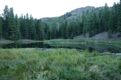 Lily Lake California