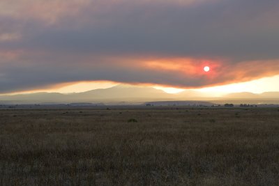 Forest Fire Smoke near Madres Oregon
