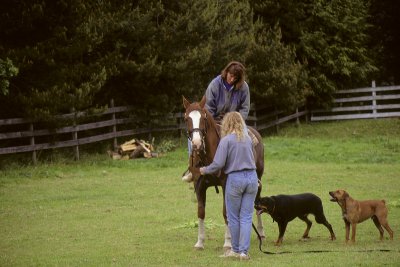 Linda on a horse