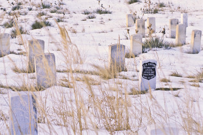 Little Big Horn and Custer