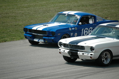 Neck and Neck