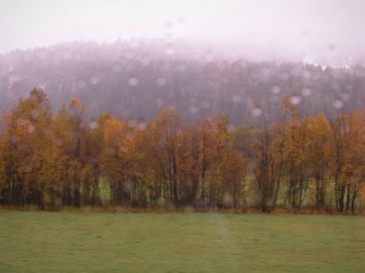Through a bus window