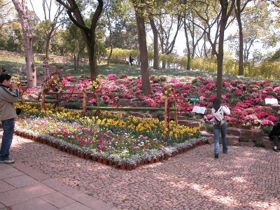 Floral display, Tiger Hill Gardens