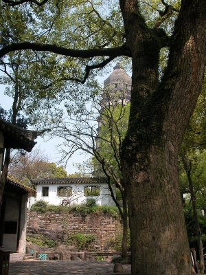 Glimpse of Pagoda, Tiger Hill Gardens