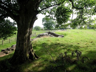 Fort at Birdoswald