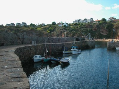 Crail harbour