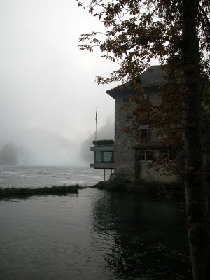 Misty Schauffhausen