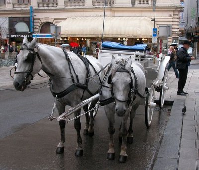 Vienna - Gallery
