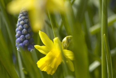 spring at last
