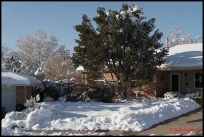 Albuquerque, NM late December 2006 snow