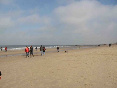 beach near Den Haag