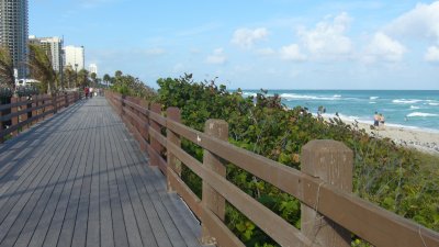 boardwalk