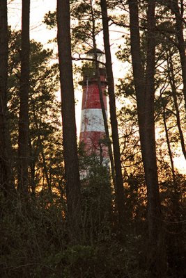 [APRIL 2007] A view of the lighthouse behind the trees, just before dusk.