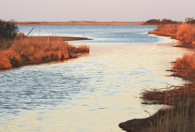 Scenes from Chincoteague and Assateague