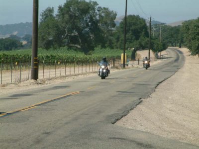 g6/72/350372/3/81995833.DbleoI33.jpg