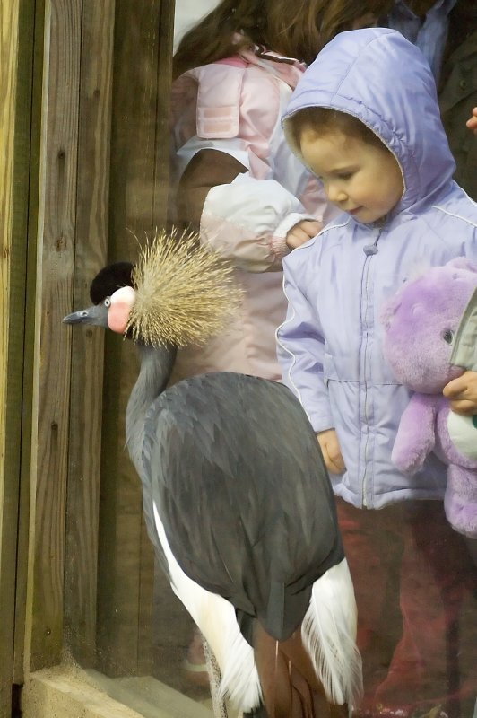 Bird and Little Girl.jpg
