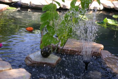 closeup of the fountain