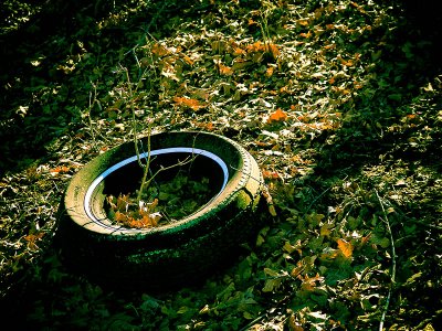 Lomo Tire