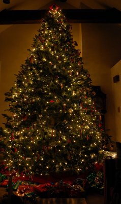 pbase Xmas tree December 24 2006.jpg