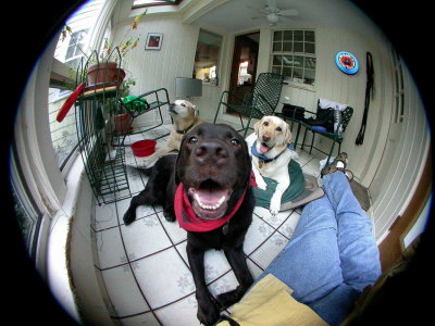 pbase Mollie Fisheye edited.jpg