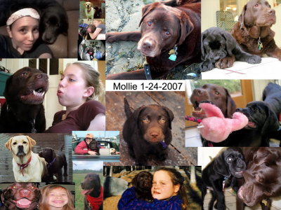 Remembering Mollie 1-24-2007