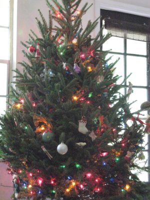 IMG_1123.JPG