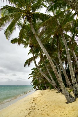 Beach #4