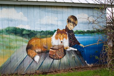 Collie and little boy