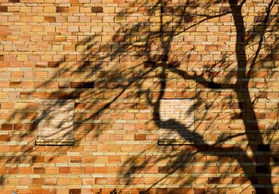 Brick windows and shadow