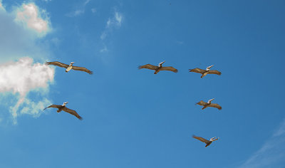 Formation flying