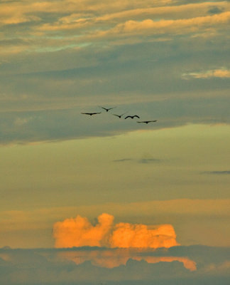 Five above sunset cloud