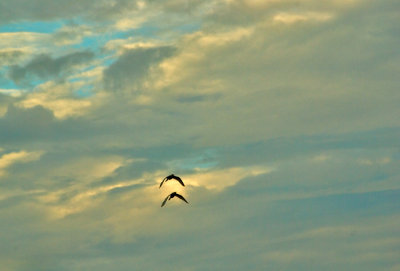 Two in bright cloud