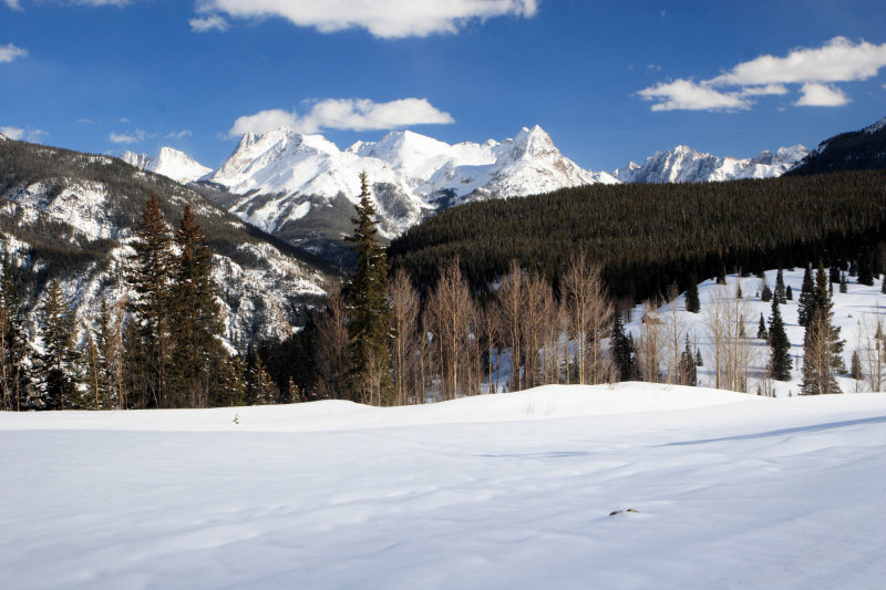 Molas Lake area looking toward the Needles