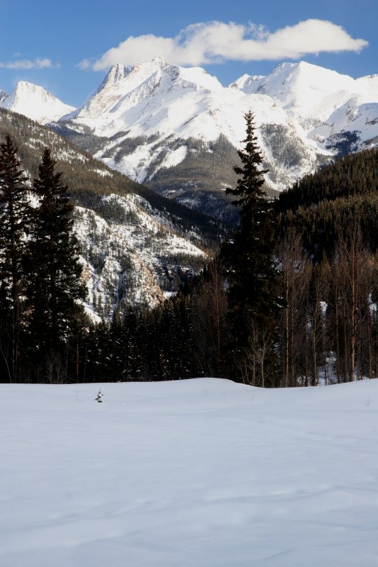Just south of Silverton Colorado