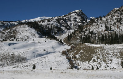 Near Silverton.