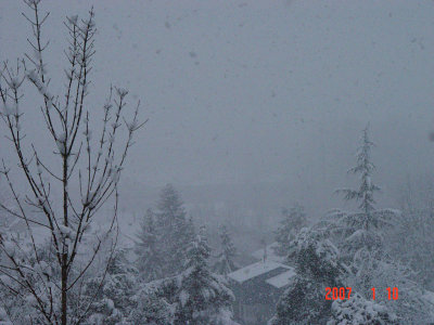 DSC09865.jpg
