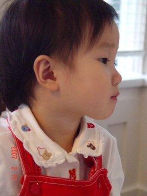 DSC00005.jpg