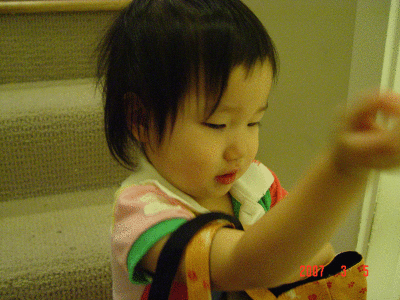 DSC09937.gif