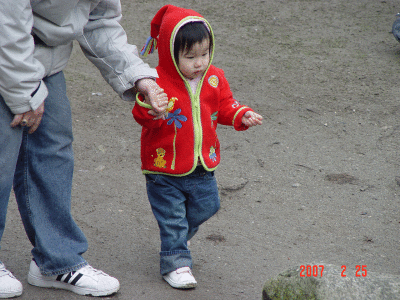 DSC09698.gif