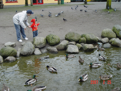 DSC09699.gif