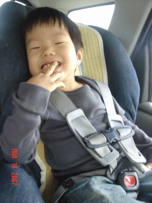 DSC09932.gif