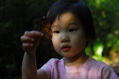 DSC_0303.jpg