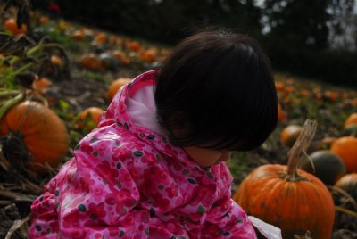 DSC_1148.jpg
