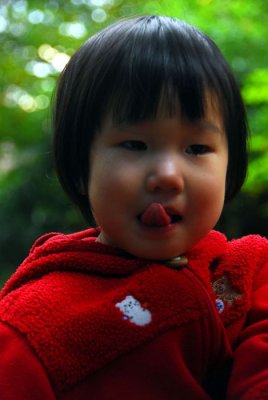 DSC_1174.jpg