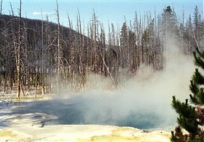 Geothermal activity, Yellowstone NP, Wyoming