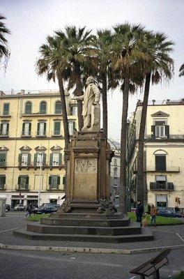 Palms, Naples, Italy