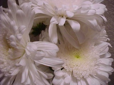Flowers from Des Moines grocery