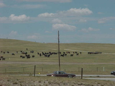 g6/72/601972/3/70024773.0czIfFDt.jpg