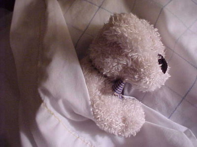 Kai's Sleeping